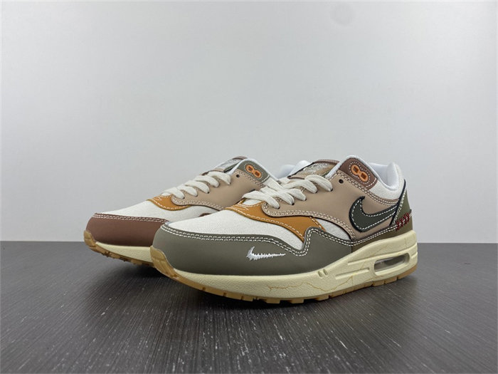 Nike Air Max 1 Premium Wabi-Sabi DQ8656-133