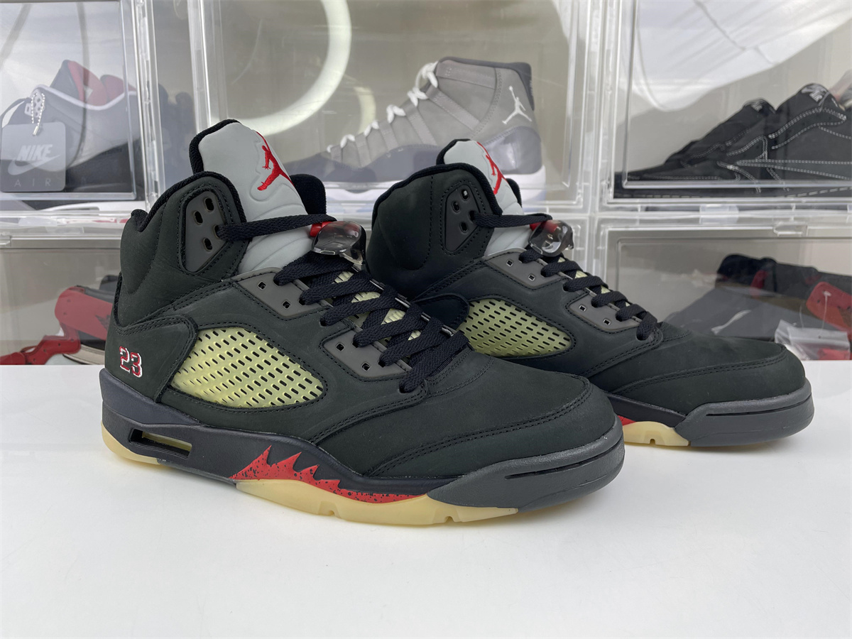 Air Jordan 5 Gore-Tex